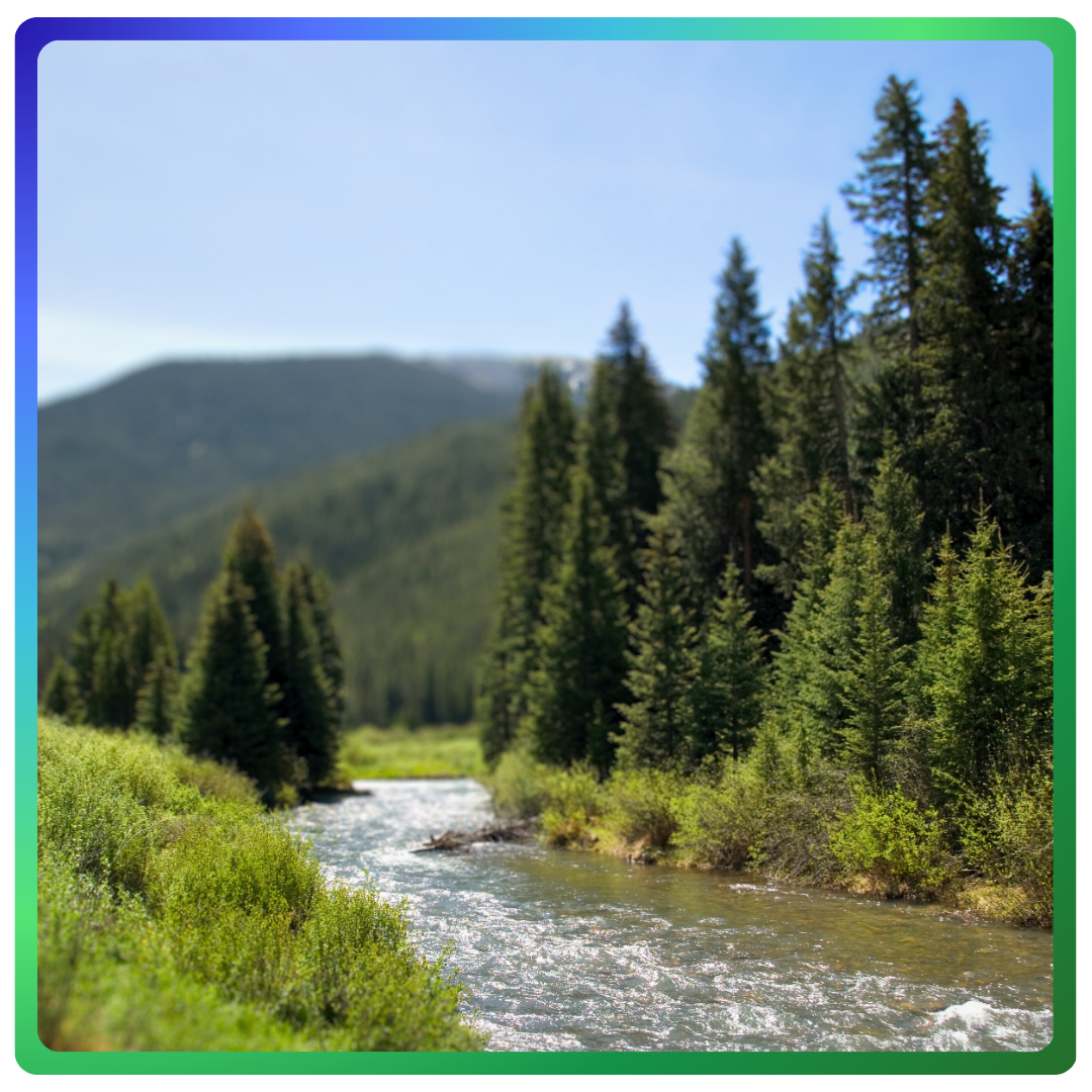 Picture of Snake River, Colorado